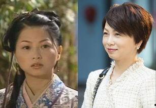 再生缘的演员表,演员阵容揭秘，重温经典传奇